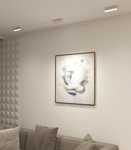 Трековый светильник Denkirs Smart DK8009-WH изображение в интернет-магазине Cramer Light фото 5