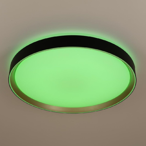 Потолочный светильник Citilux Boss CL751451G изображение в интернет-магазине Cramer Light фото 9