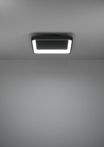 Потолочный светильник Eglo Loretello 901252 изображение в интернет-магазине Cramer Light фото 7