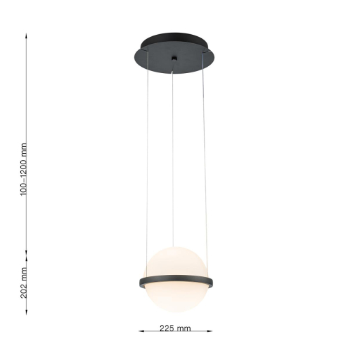 Подвесной светильник Favourite Ringar 4502-1P изображение в интернет-магазине Cramer Light фото 3