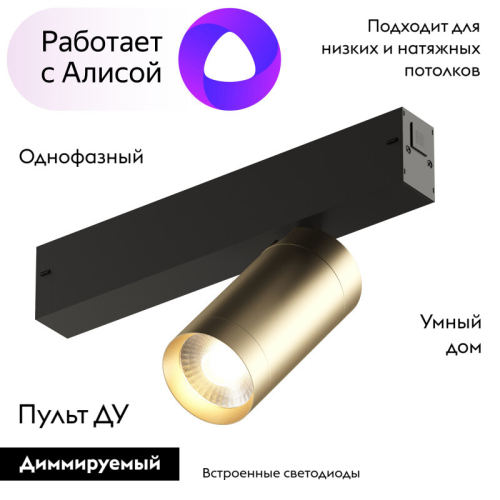 Трековый светильник Denkirs Smart DK8010-BG изображение в интернет-магазине Cramer Light фото 2