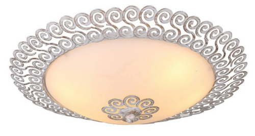Потолочный светильник Arte Lamp Fleece A4554PL-2WG изображение в интернет-магазине Cramer Light