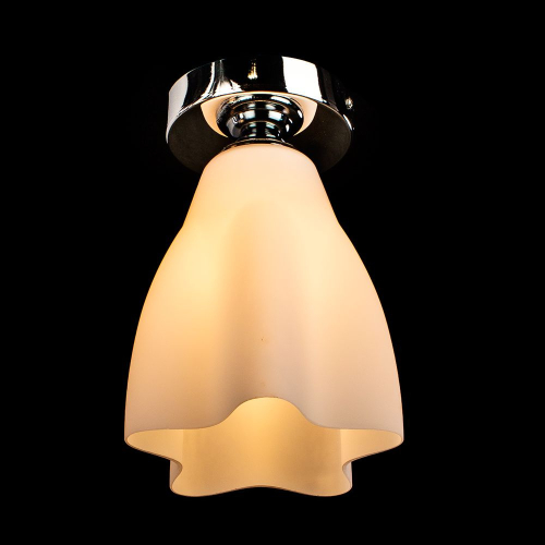 Потолочный светильник Arte Lamp 17 A3469PL-1CC изображение в интернет-магазине Cramer Light фото 3