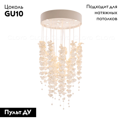 Потолочная люстра Cloyd Taongi 11333 изображение в интернет-магазине Cramer Light фото 2