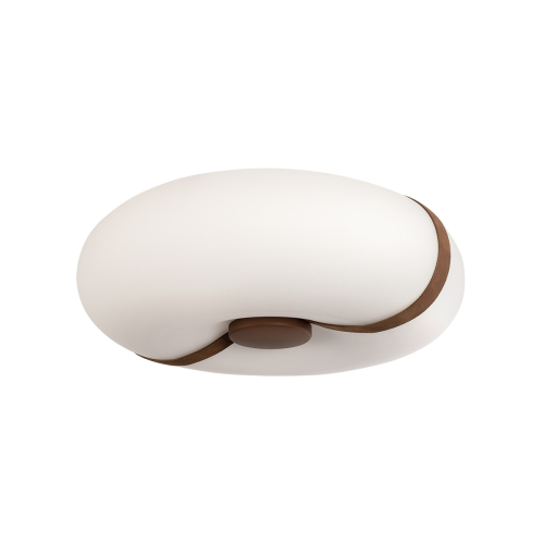 Потолочный светильник LOFT IT Bolina 10473 изображение в интернет-магазине Cramer Light