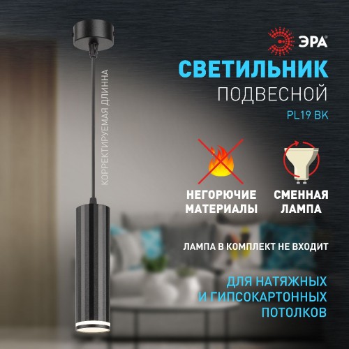 Подвесной светильник Эра PL19 BK Б0058492 изображение в интернет-магазине Cramer Light фото 9