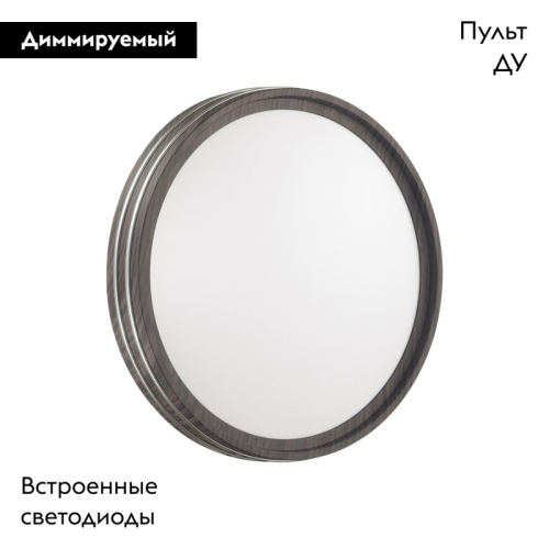 Настенно-потолочный светильник Sonex Trosto 7604/EL изображение в интернет-магазине Cramer Light фото 2