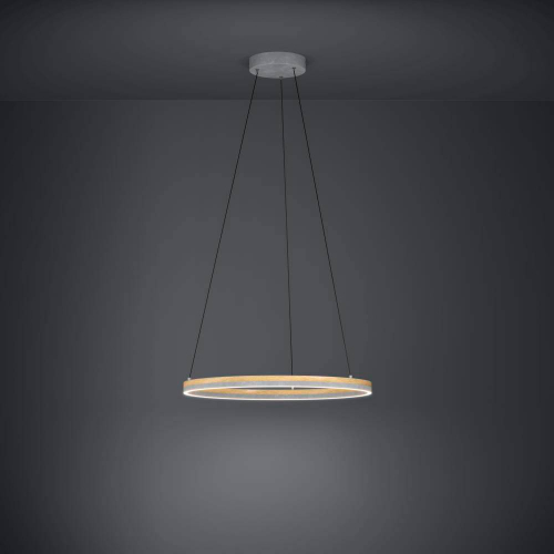 Подвесной светильник Eglo Cadinaro 39896 изображение в интернет-магазине Cramer Light фото 2