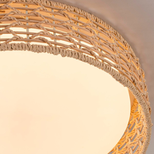 Потолочный светильник F-Promo Conrad 4749-4C изображение в интернет-магазине Cramer Light фото 5