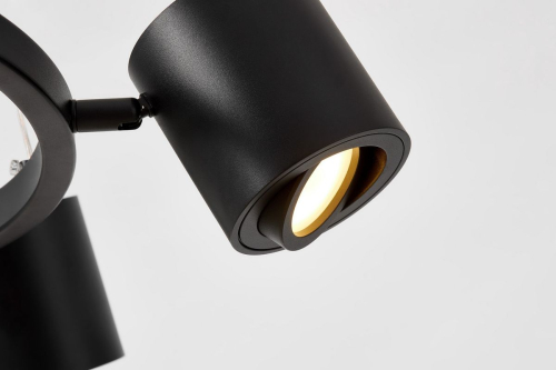 Подвесная люстра Lampit Nati TS P1999-6 BK изображение в интернет-магазине Cramer Light фото 2