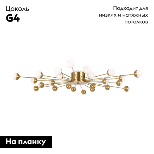 Потолочная люстра Freya Celebrity FR5242CL-24BS изображение в интернет-магазине Cramer Light фото 2