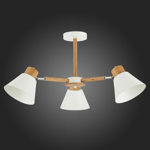 Потолочная люстра Evoluce Buve SLE103702-03 изображение в интернет-магазине Cramer Light фото 4