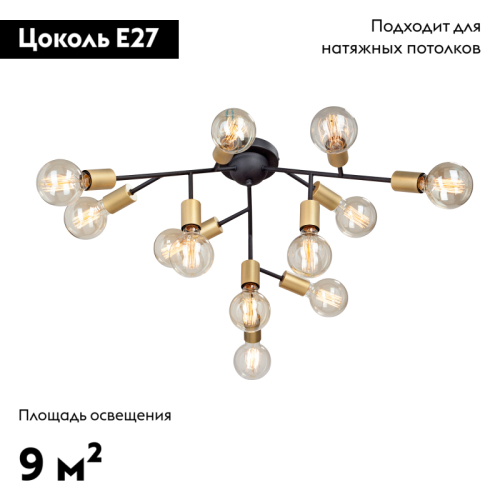 Потолочная люстра Vitaluce V4959-1/12PL изображение в интернет-магазине Cramer Light фото 2
