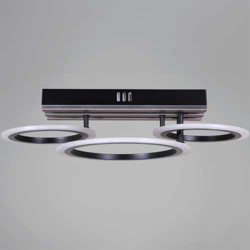 Потолочный светильник Reluce 00330-0.3-2+1 изображение в интернет-магазине Cramer Light фото 3