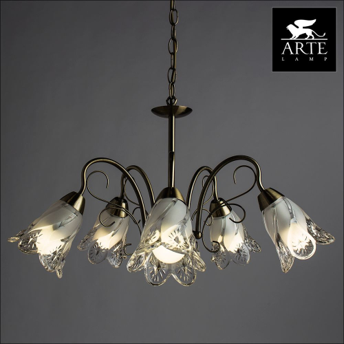 Подвесная люстра Arte Lamp 2 A6273LM-5AB изображение в интернет-магазине Cramer Light фото 3