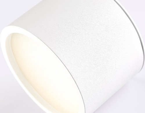 Накладной светильник Ambrella Light IP Protect TN6550 изображение в интернет-магазине Cramer Light фото 4