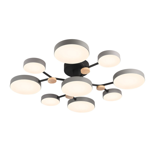 Потолочная люстра LED4U L3201-780 GR изображение в интернет-магазине Cramer Light фото 3