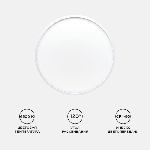 Настенно-потолочный светильник Apeyron Spin 18-131 изображение в интернет-магазине Cramer Light фото 3