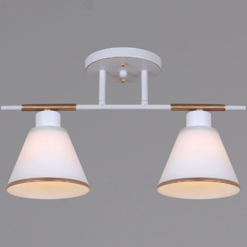 Потолочный светильник Reluce 07594-0.3-02 WG изображение в интернет-магазине Cramer Light