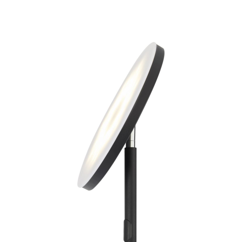 Торшер Freya Mirasol FR6148FL-L36B изображение в интернет-магазине Cramer Light фото 2