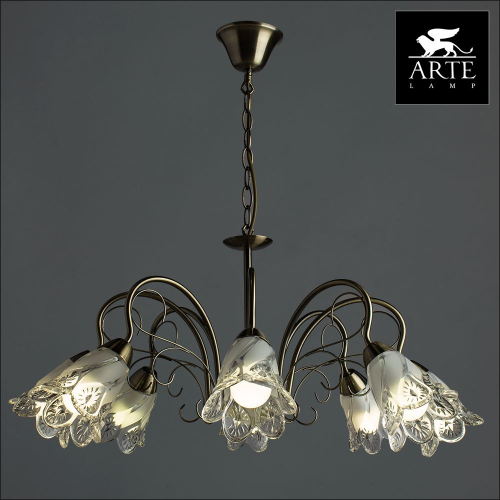 Подвесная люстра Arte Lamp 2 A6273LM-8AB изображение в интернет-магазине Cramer Light фото 3
