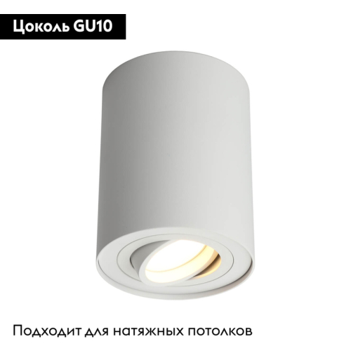Потолочный светильник Omnilux Pantaleo OML-101009-01 изображение в интернет-магазине Cramer Light фото 2