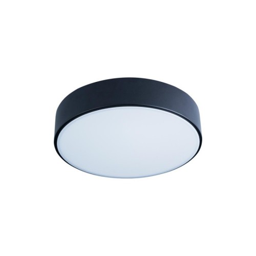 Потолочный светильник Loft IT AXEL 10002/12 Black изображение в интернет-магазине Cramer Light