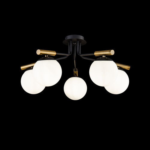 Потолочная люстра Freya Paolina FR5011CL-05B изображение в интернет-магазине Cramer Light фото 3