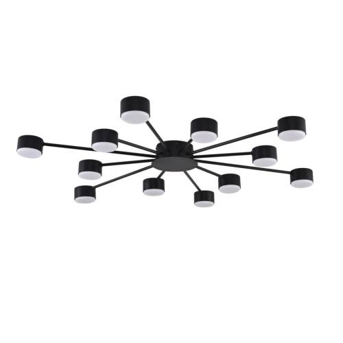 Потолочная люстра Lumion Comfi Torina 8344/12C изображение в интернет-магазине Cramer Light