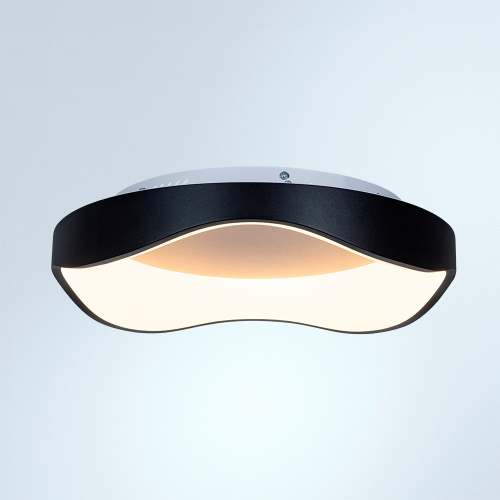 Потолочный светильник Arte Lamp Ankaa A3085PL-48BK изображение в интернет-магазине Cramer Light фото 2