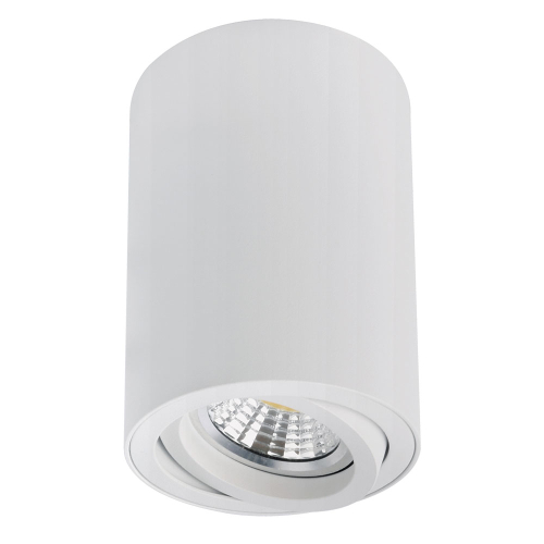 Накладной светильник Arte Lamp Sentry A1566PL-1WH изображение в интернет-магазине Cramer Light