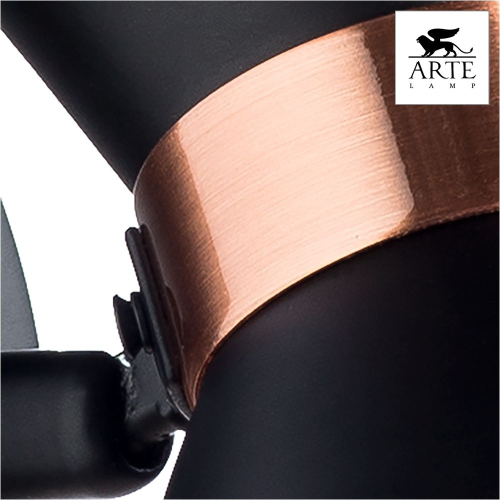 Спот Arte Lamp Baltimore A1406AP-1BK изображение в интернет-магазине Cramer Light фото 3