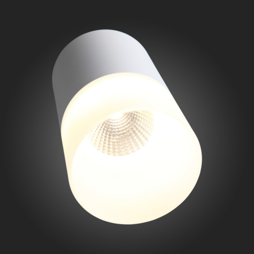 Накладной светильник ST Luce ST100.502.10 изображение в интернет-магазине Cramer Light фото 5