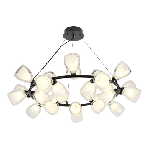 Подвесная люстра Lussole Inglewood LSP-6065 изображение в интернет-магазине Cramer Light