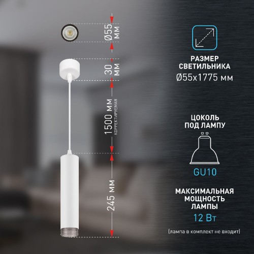 Подвесной светильник Эра PL18 WH/GR Б0058482 изображение в интернет-магазине Cramer Light фото 10