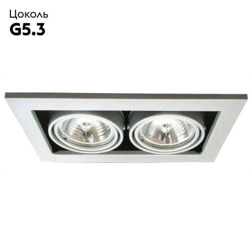Встраиваемый светильник Arte Lamp Technika A5930PL-2SI изображение в интернет-магазине Cramer Light фото 2