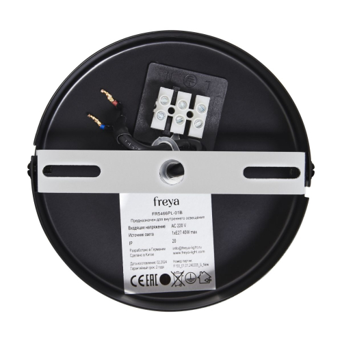 Подвесной светильник Freya Enface FR5466PL-01B изображение в интернет-магазине Cramer Light фото 10
