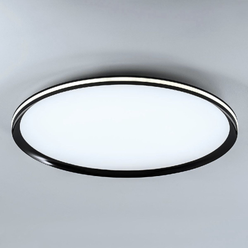 Потолочный светильник LED4U L3020-600 BK изображение в интернет-магазине Cramer Light фото 4