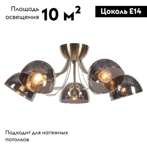 Потолочная люстра Lussole Lgo Gresham LSP-8368 изображение в интернет-магазине Cramer Light фото 2