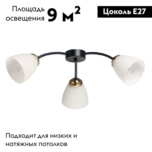 Потолочная люстра De Markt Нежность 676016903 изображение в интернет-магазине Cramer Light фото 2
