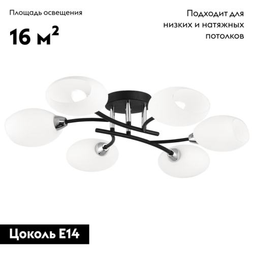 Потолочная люстра Citilux Флорида CL148165 изображение в интернет-магазине Cramer Light фото 2