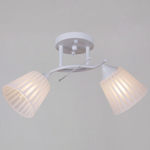 Потолочный светильник Reluce 82460-0.3-02 WH изображение в интернет-магазине Cramer Light