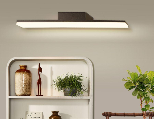 Подсветка для картин Ambrella Light Wall FW422 дополнительное фото фото 3