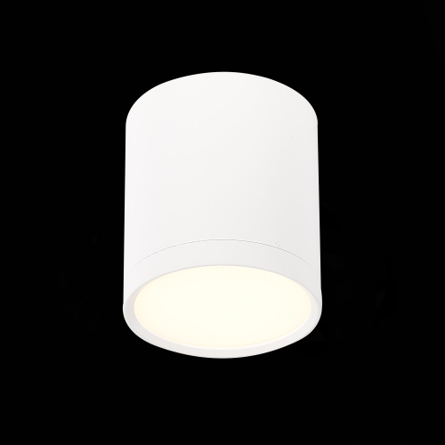 Потолочный светильник ST Luce Rene ST113.532.05 изображение в интернет-магазине Cramer Light фото 3
