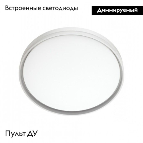 Настенно-потолочный светильник Sonex Savi 7631/DL изображение в интернет-магазине Cramer Light фото 2