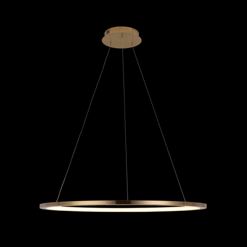 Подвесной светодиодный светильник Loft IT Ring 10014L изображение в интернет-магазине Cramer Light фото 5