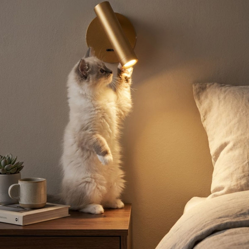 Спот Citilux Dekart CL704102 изображение в интернет-магазине Cramer Light фото 15