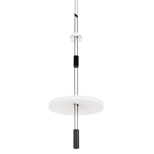 Подвесной светильник Loft IT Flamingo 10598B изображение в интернет-магазине Cramer Light фото 5