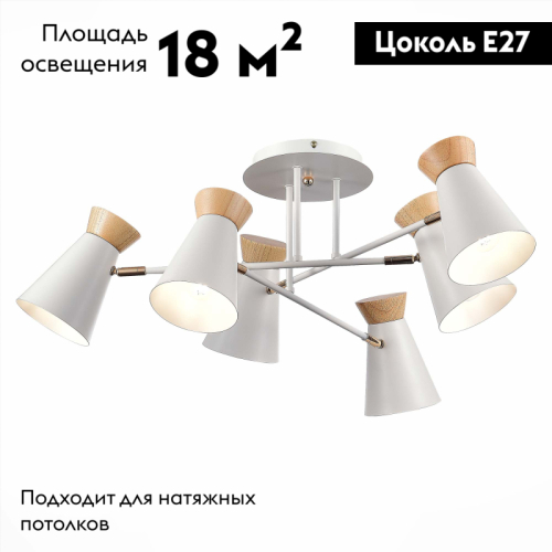 Потолочная люстра Evoluce Alfeo SLE1252-502-06 изображение в интернет-магазине Cramer Light фото 2