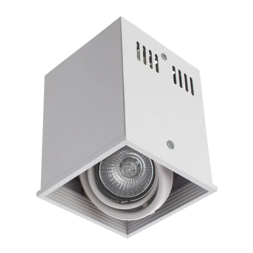 Потолочный светильник Arte Lamp Cardani A5942PL-1WH изображение в интернет-магазине Cramer Light фото 3